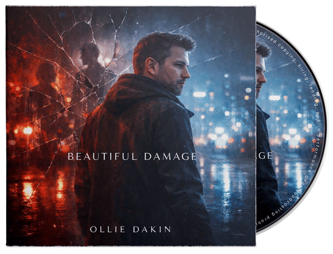 beautiful damage